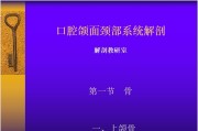 口腔颌面颈部系统解剖教学.ppt课件