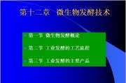第十二章 微生物发酵技术.ppt课件