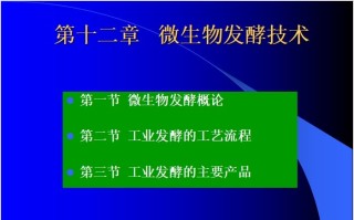 第十二章 微生物发酵技术.ppt课件